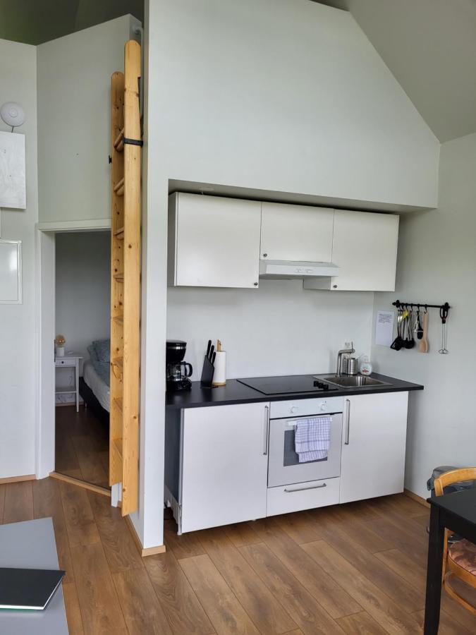 Holar Countryside Cabin 1 Σέλφος Εξωτερικό φωτογραφία