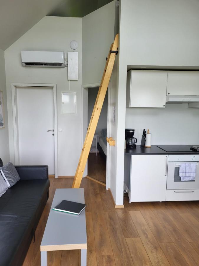Holar Countryside Cabin 1 Σέλφος Εξωτερικό φωτογραφία